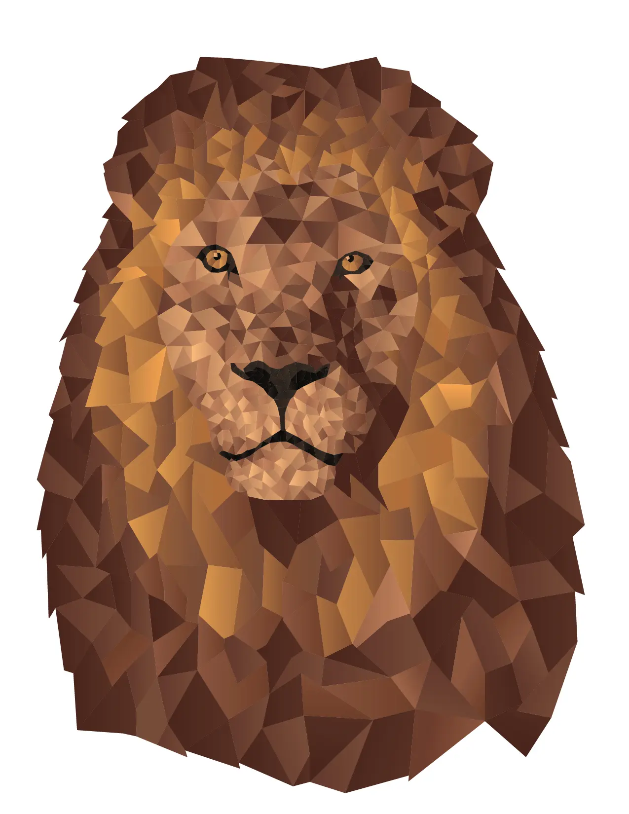 Lion Shape Illustration